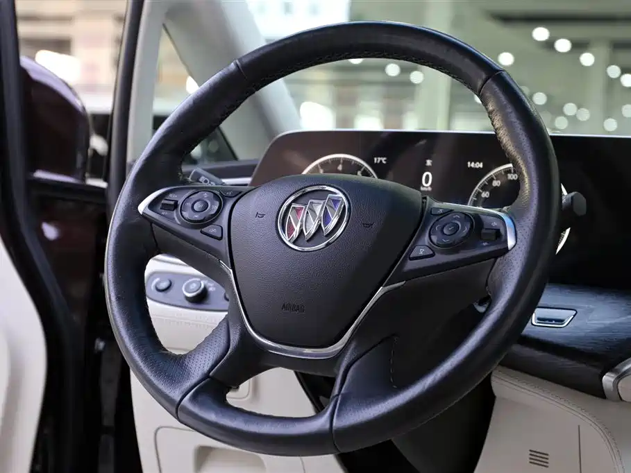 Buick GL8 2020 Avenir Six-Seat Elegance Edition фото 12
