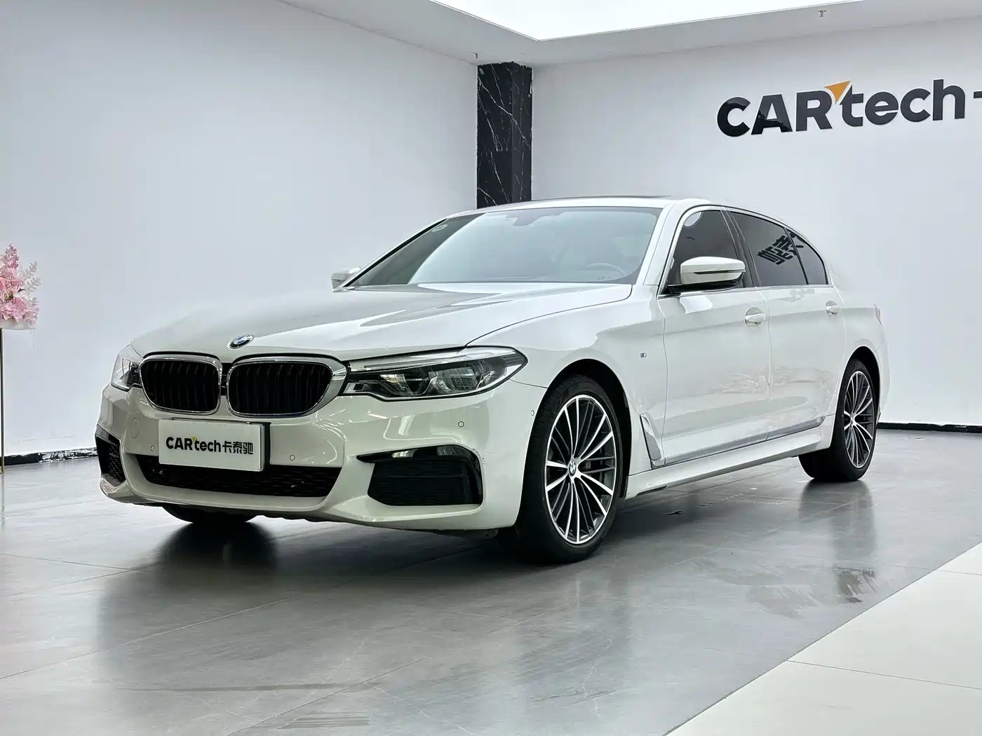 BMW 5 Series 2020 530Li Leading M Sport Package