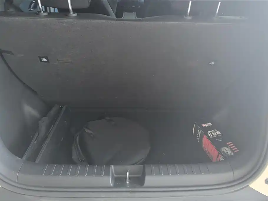 BYD Seagull 2024 Glory Edition 305km Vitality Edition фото 4