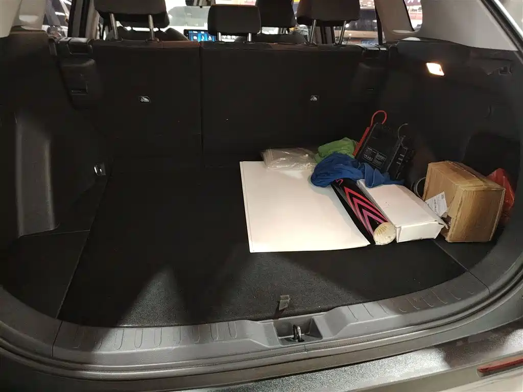 Toyota RAV4 Rongfang 2020 2.0L CVT 2WD Trend Edition фото 15