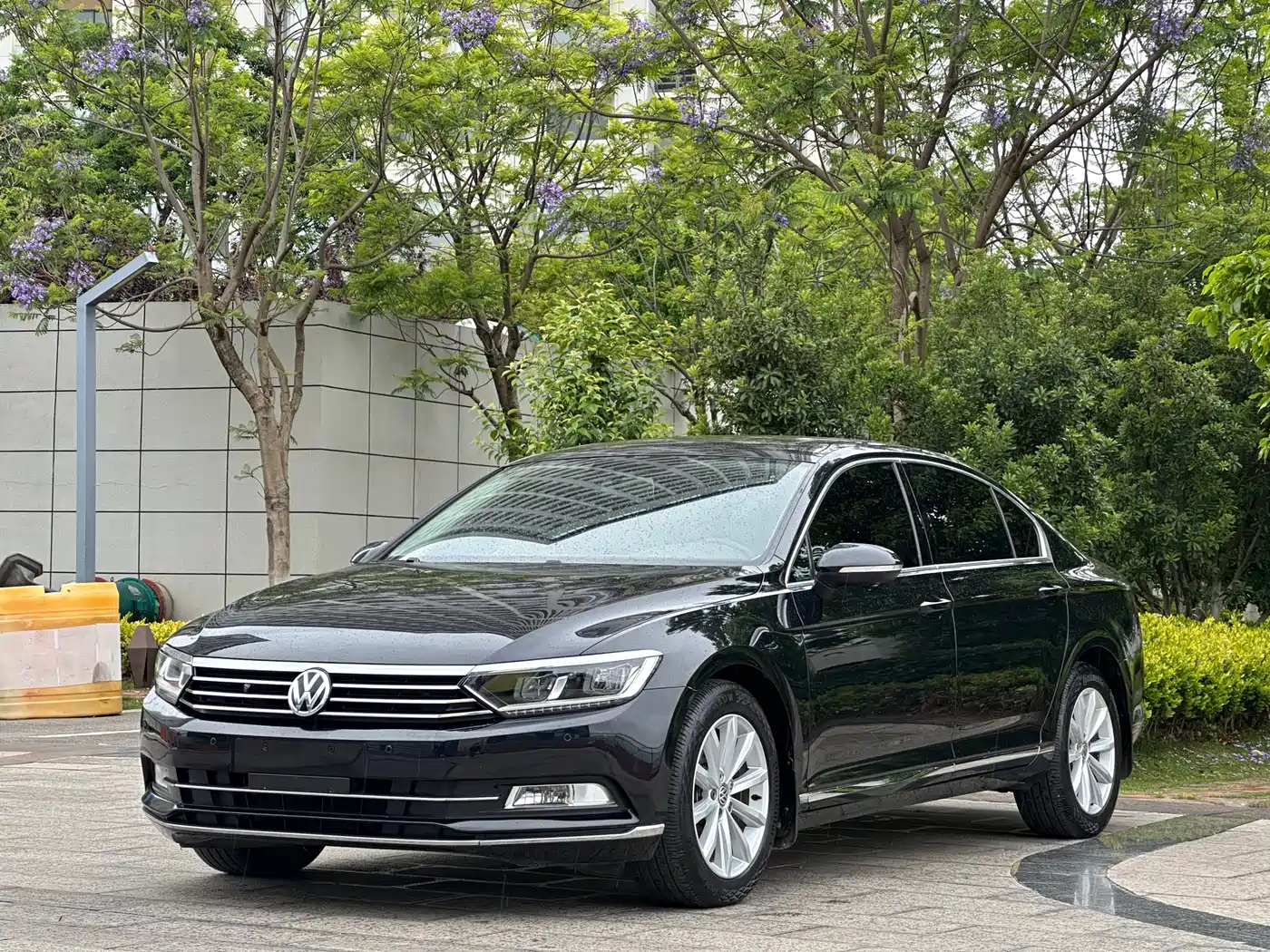 Volkswagen Magotan 2019 330TSI DSG Leading China VI