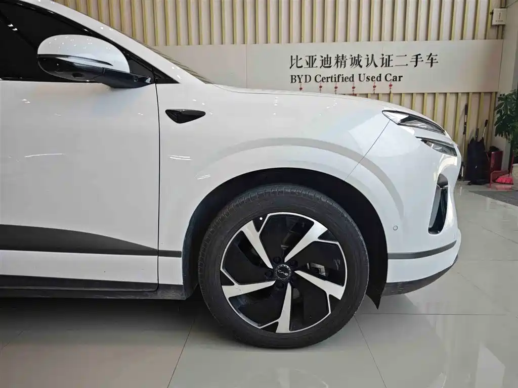 BYD Sealion 06 New Energy 2025 DM-i 170 Pilot Pro Edition фото 15