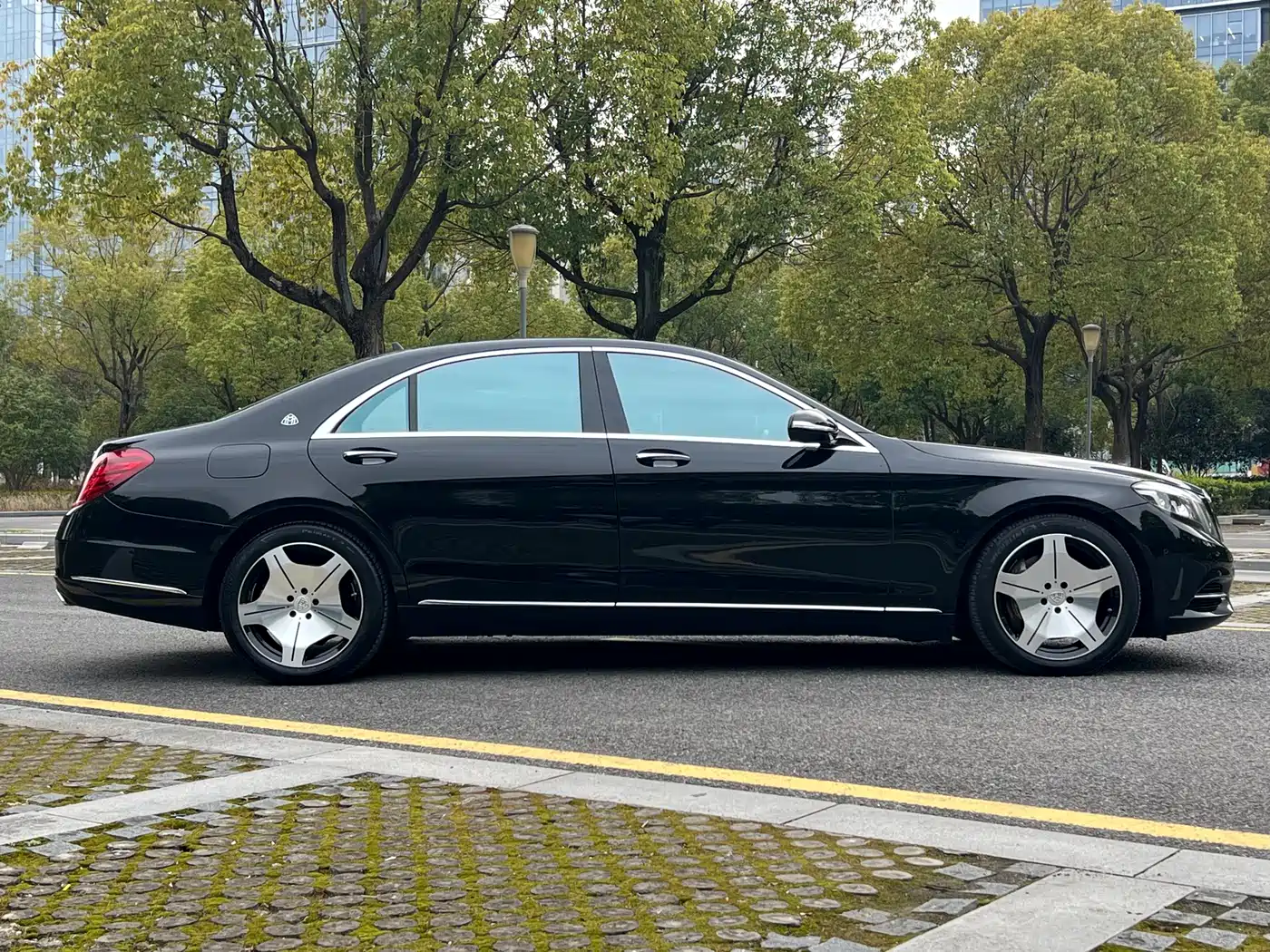 Mercedes-Benz S-Class 2014 S 500 L фото 27