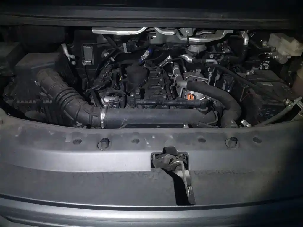 DONGFENG POPULAR LINGZHI
