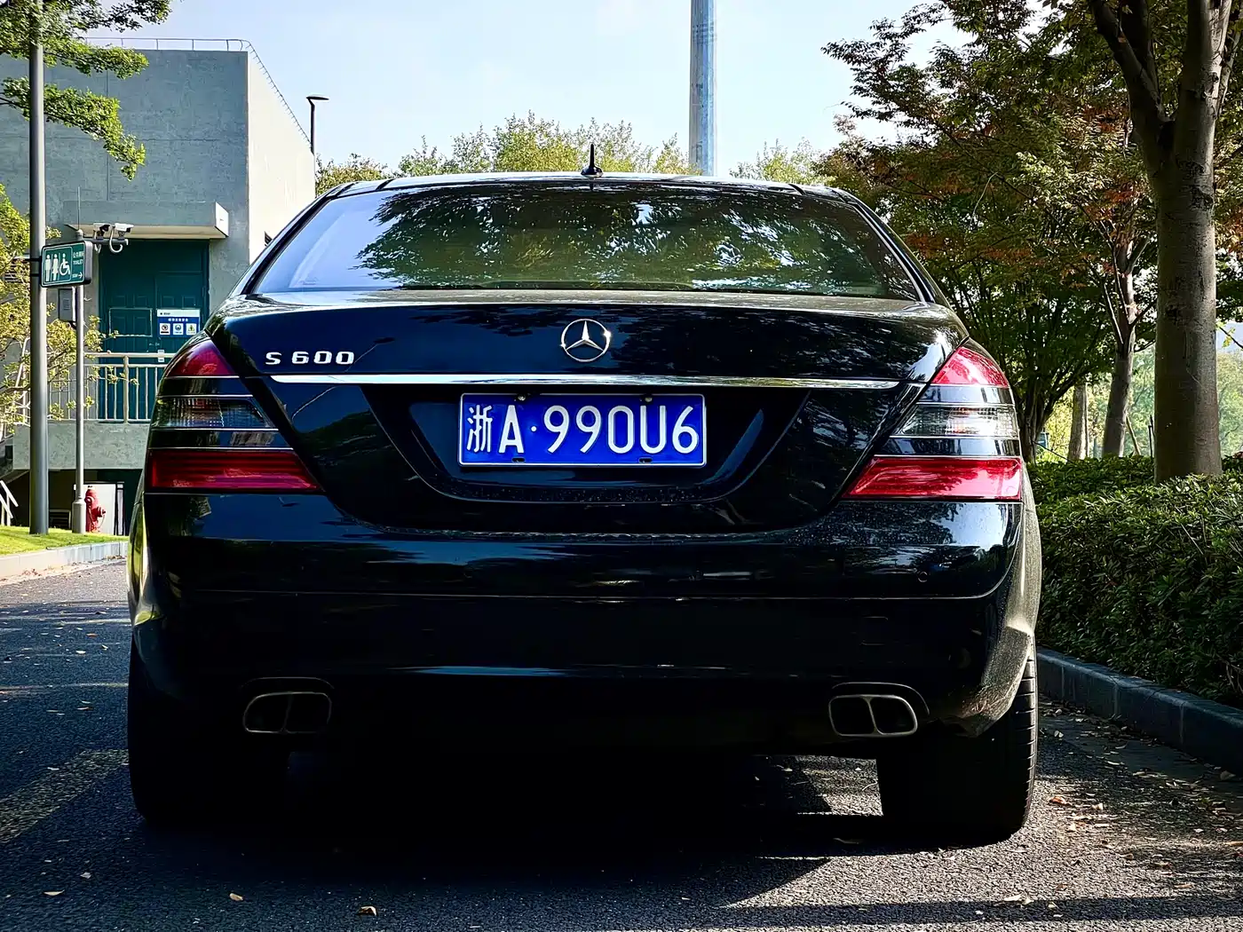 Mercedes-Benz S-Class 2008 Model S 600 L фото 8