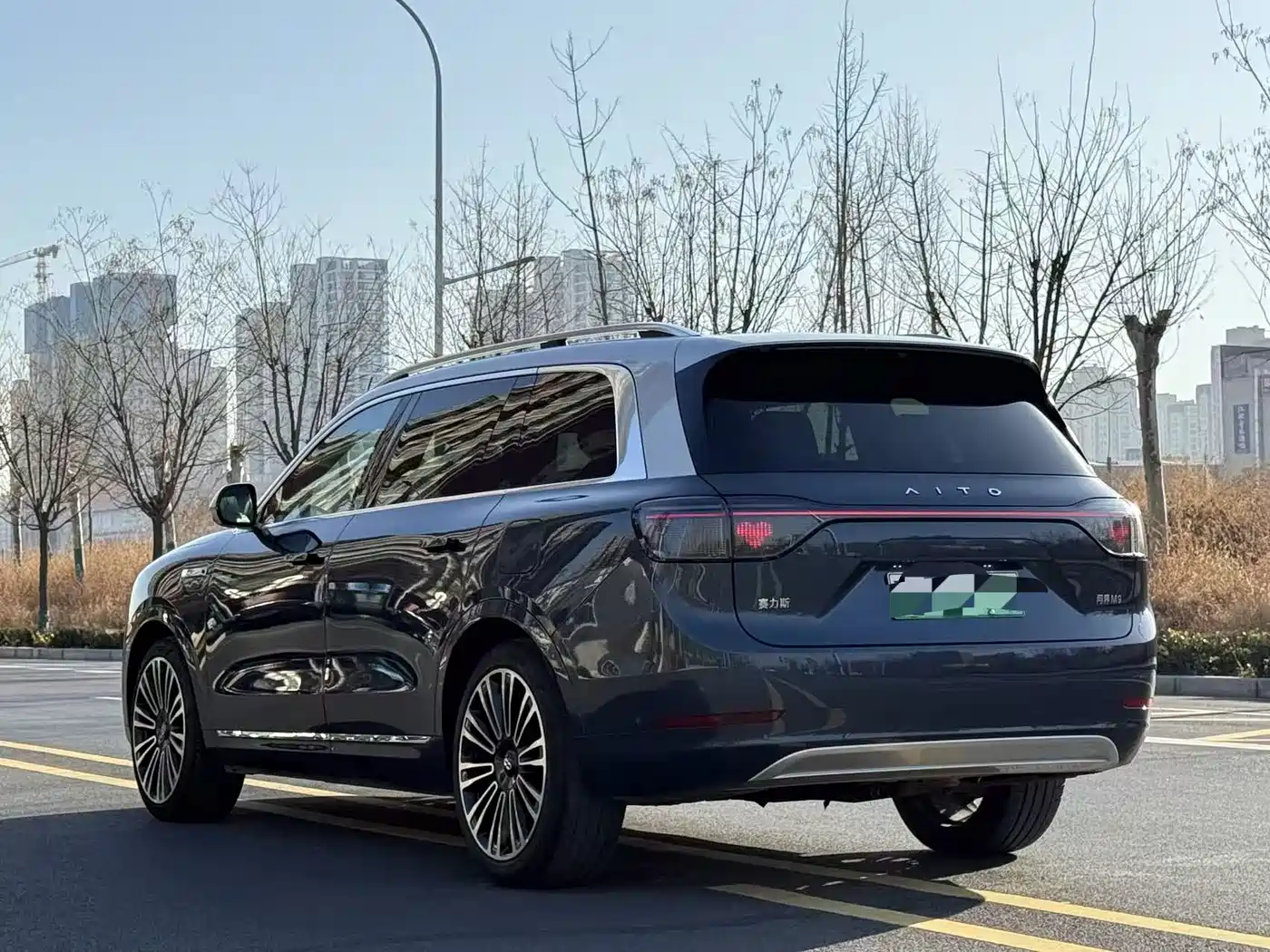 AITO Wenjie AITO M9 2024 Extended Range Ultra 42kWh 6-Seater фото 18