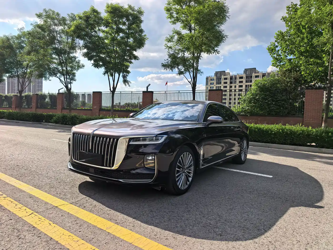 Hongqi H9 2020 2.0T Smart Connection Qi Chang Edition