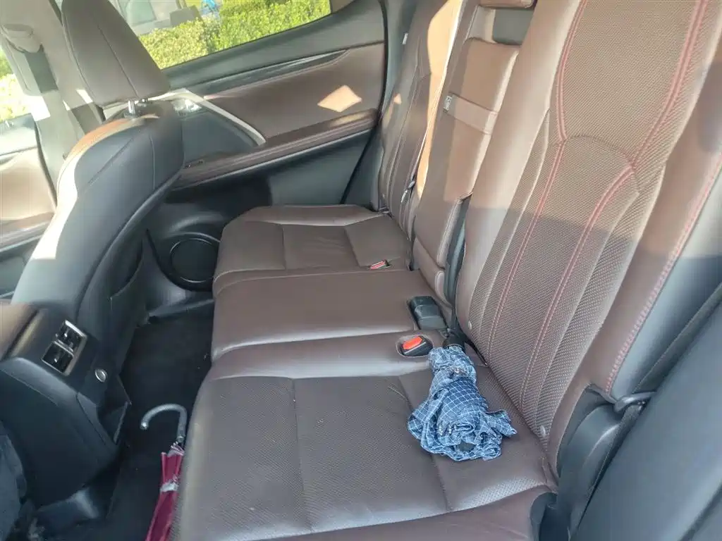 Lexus RX 2016 300 4WD Elegance Edition China VI фото 15