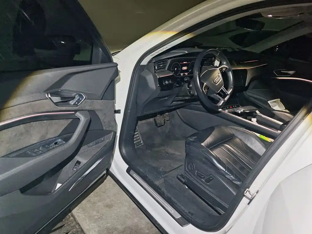 Audi e-tron (Import) 2019 55 quattro Technology фото 17