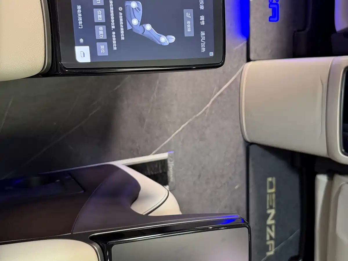 Denza D9 2024 DM-i 980 AWD Flagship фото 30