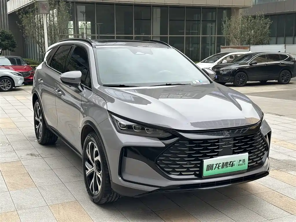 BYD Tang New Energy 2025 DM-i 115KM Prestige Type фото 4