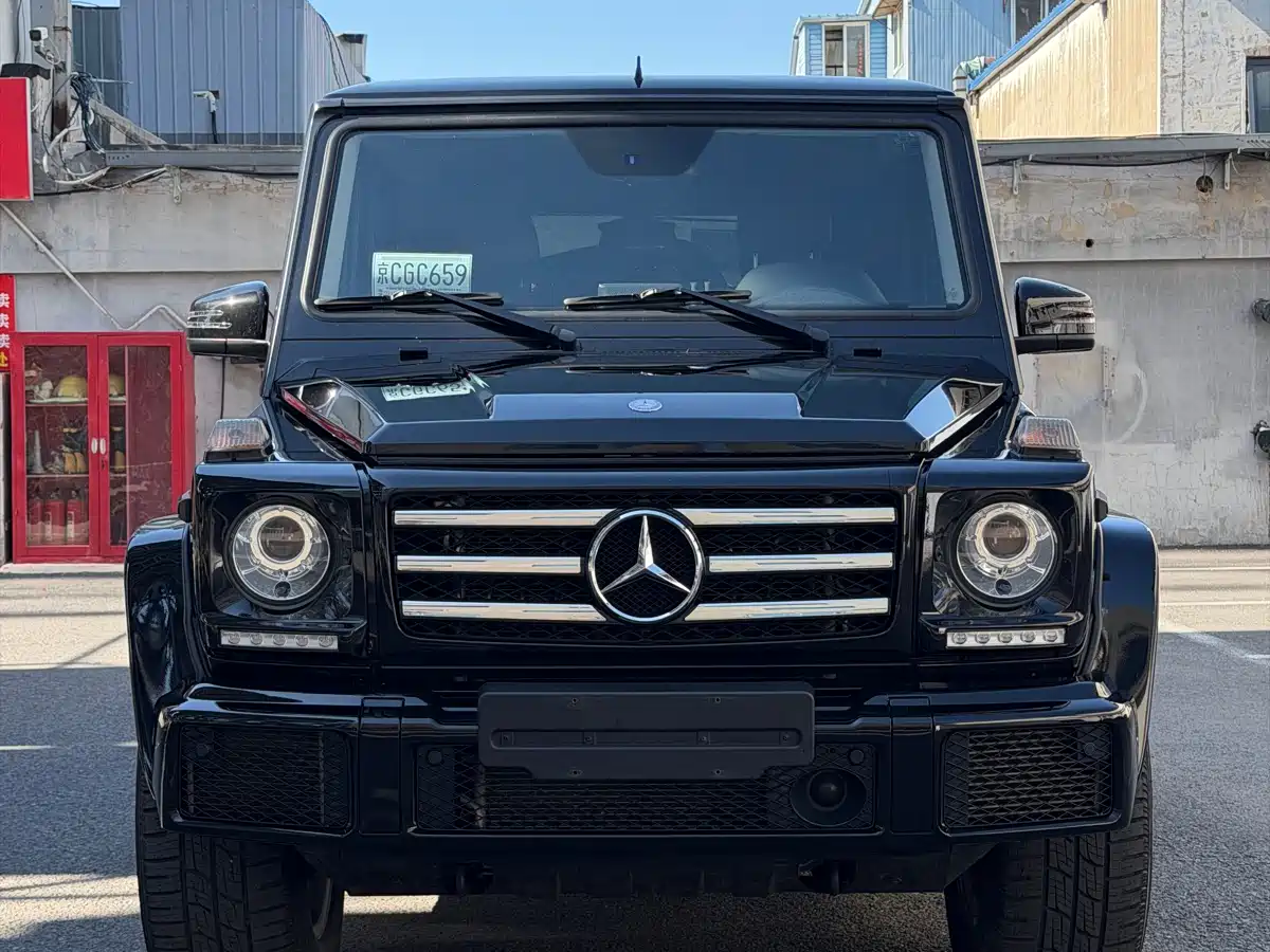 Mercedes-Benz G-Class 2016 G 500 фото 2
