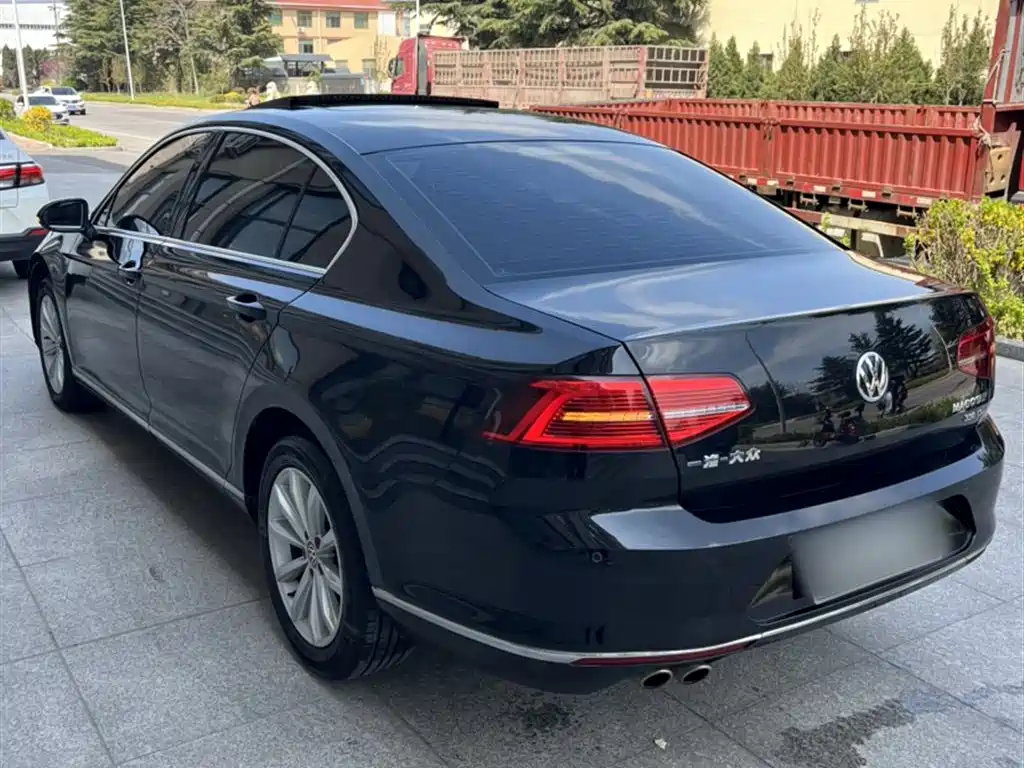 Volkswagen Magotan 2018 330TSI DSG Leading фото 18