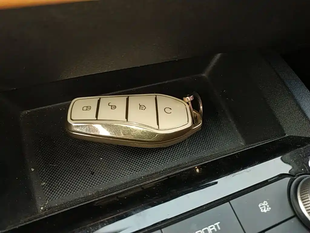 BYD e2 2021 2021 Luxury Edition
