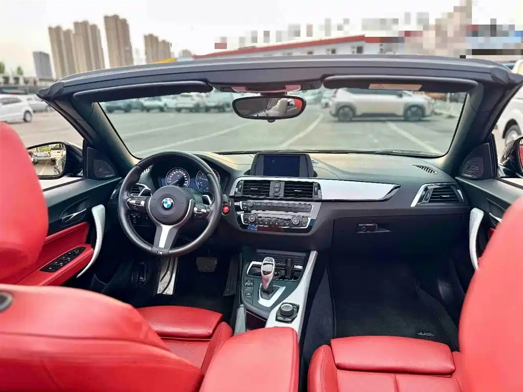 BMW 2 Series (Import) 2018 225i Convertible Coupe Premium M Sport Package фото 10