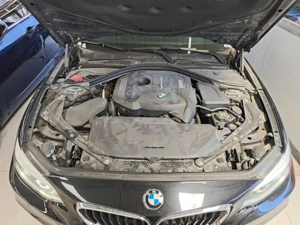 BMW 2 Series (Import) 2018 225i Convertible Coupe Premium M Sport Package фото 20