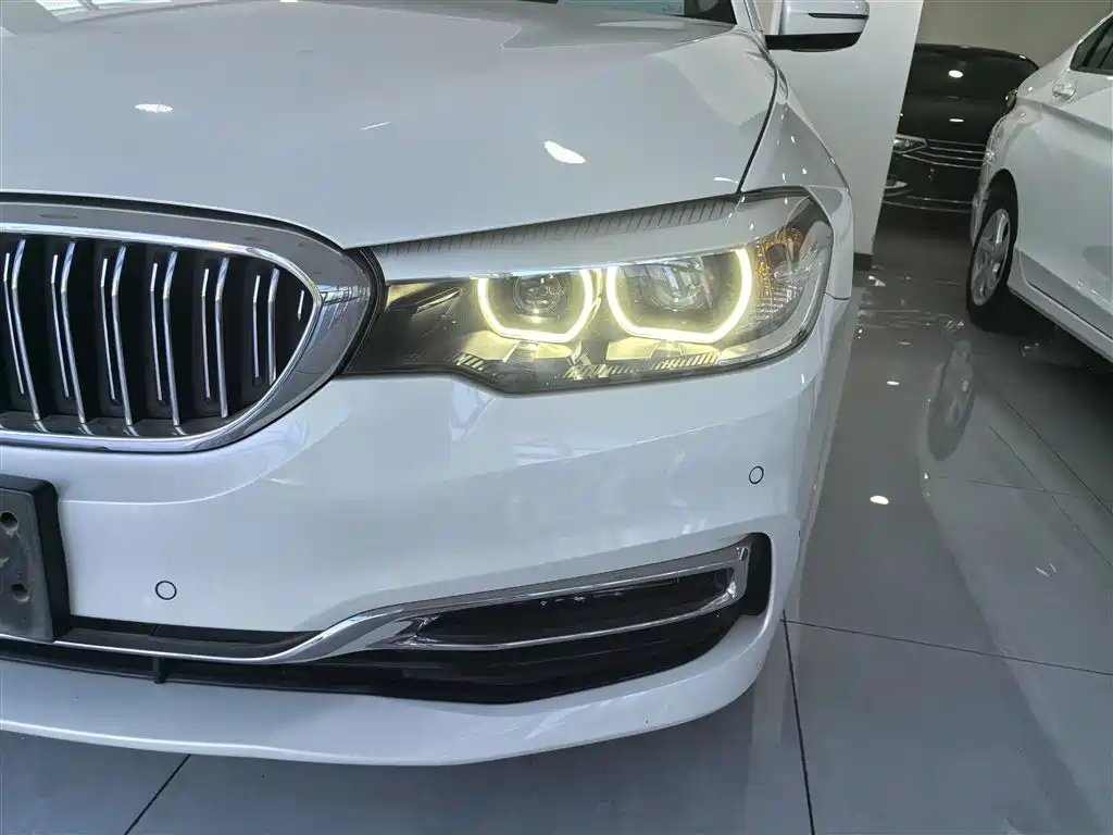 BMW 5 Series 2019 525Li Luxury Package фото 13