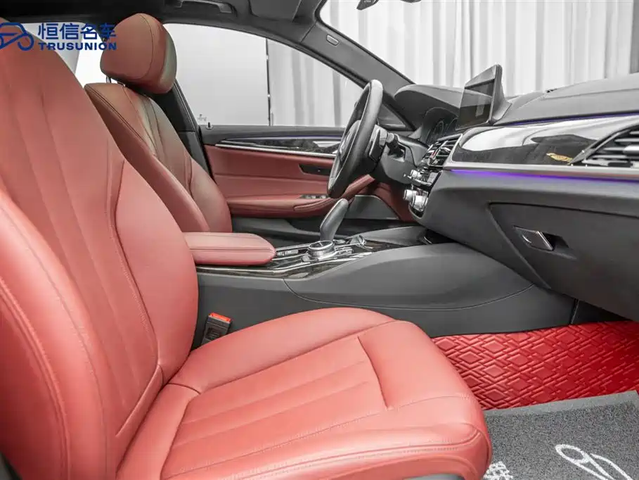 BMW 5 Series 2019 530Li xDrive M Sport Package фото 17