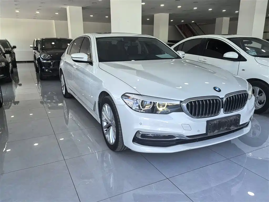 BMW 5 Series 2019 525Li Luxury Package фото 8