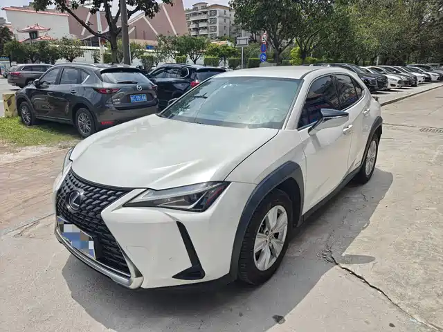 Lexus UX 2020 260h Explore Cool Edition China V