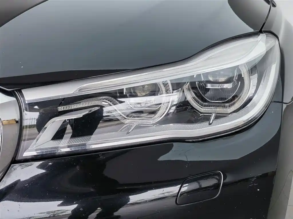 BMW 7 Series 2017 730Li Luxury Edition фото 7