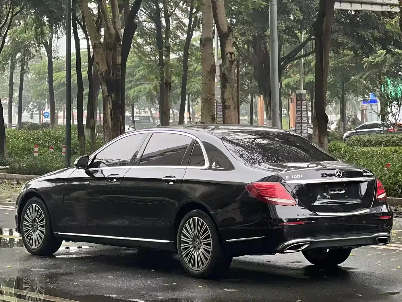 Mercedes-Benz E-Class 2020 E 300 L Fashion фото 4