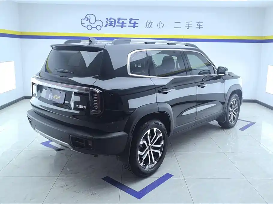 Haval Big Dog 2024 1.5T DCT Border Collie Edition фото 3