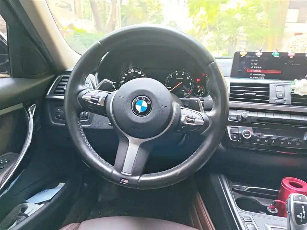 BMW 3 Series 2019 320Li M Sport Package фото 3