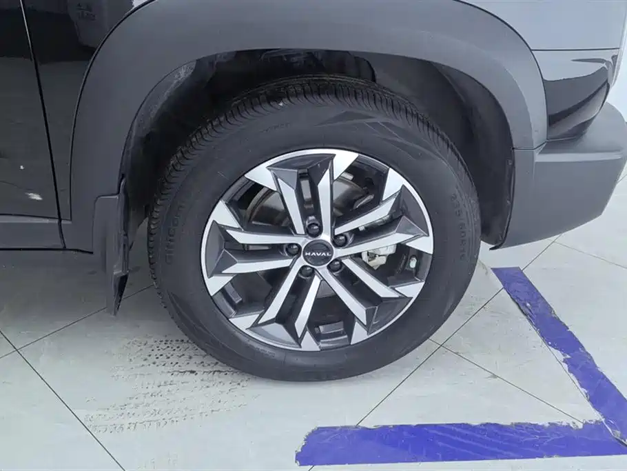 Haval Big Dog 2024 1.5T DCT Border Collie Edition фото 6