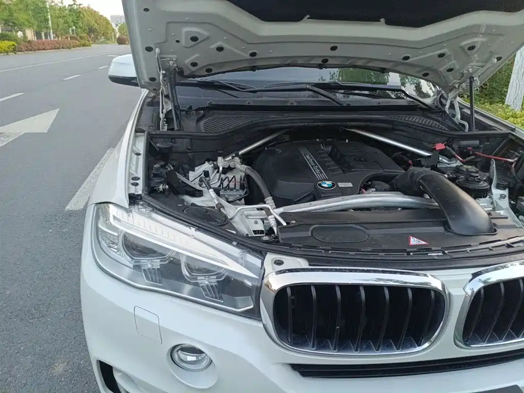 BMW X5 (Import) 2014 xDrive35i Leading фото 22
