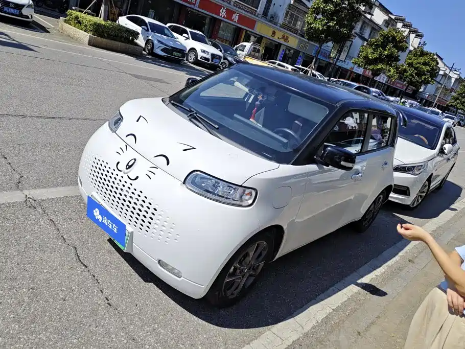 Ora White Cat 2021 2022 Upgraded 305km Luxury (NMC)