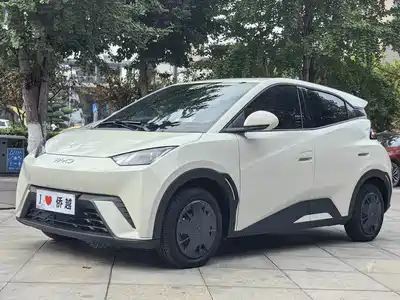 BYD Seagull