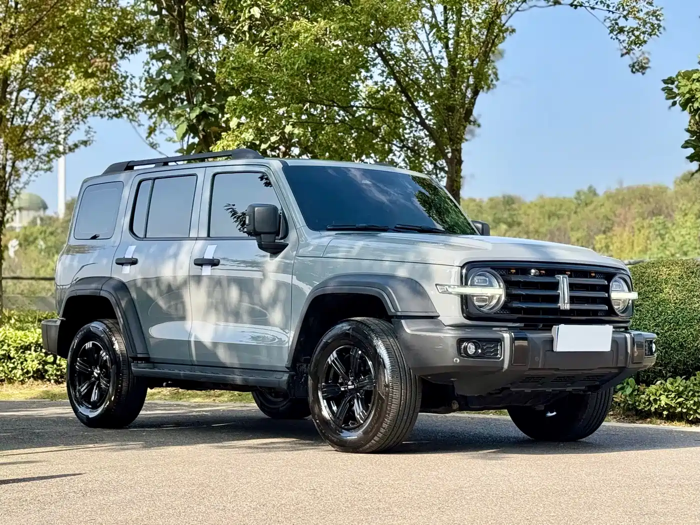 Tank 300 2021 2021 Off-road Version 2.0T Conqueror