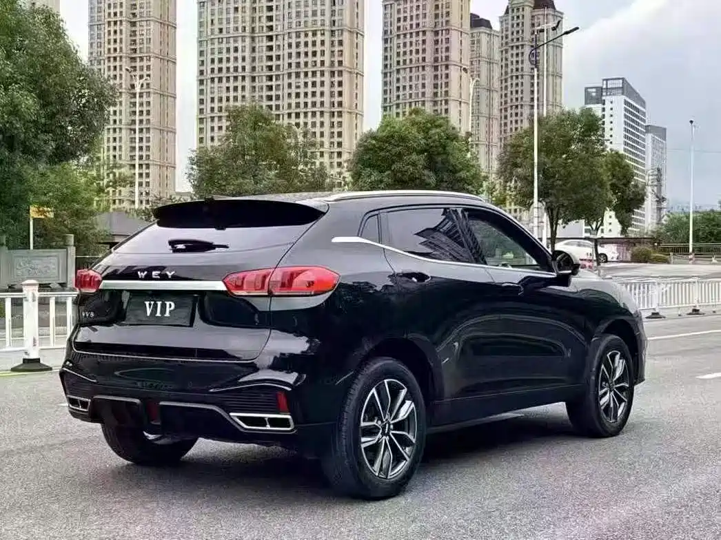 WEI PAI WEI BRAND VV5