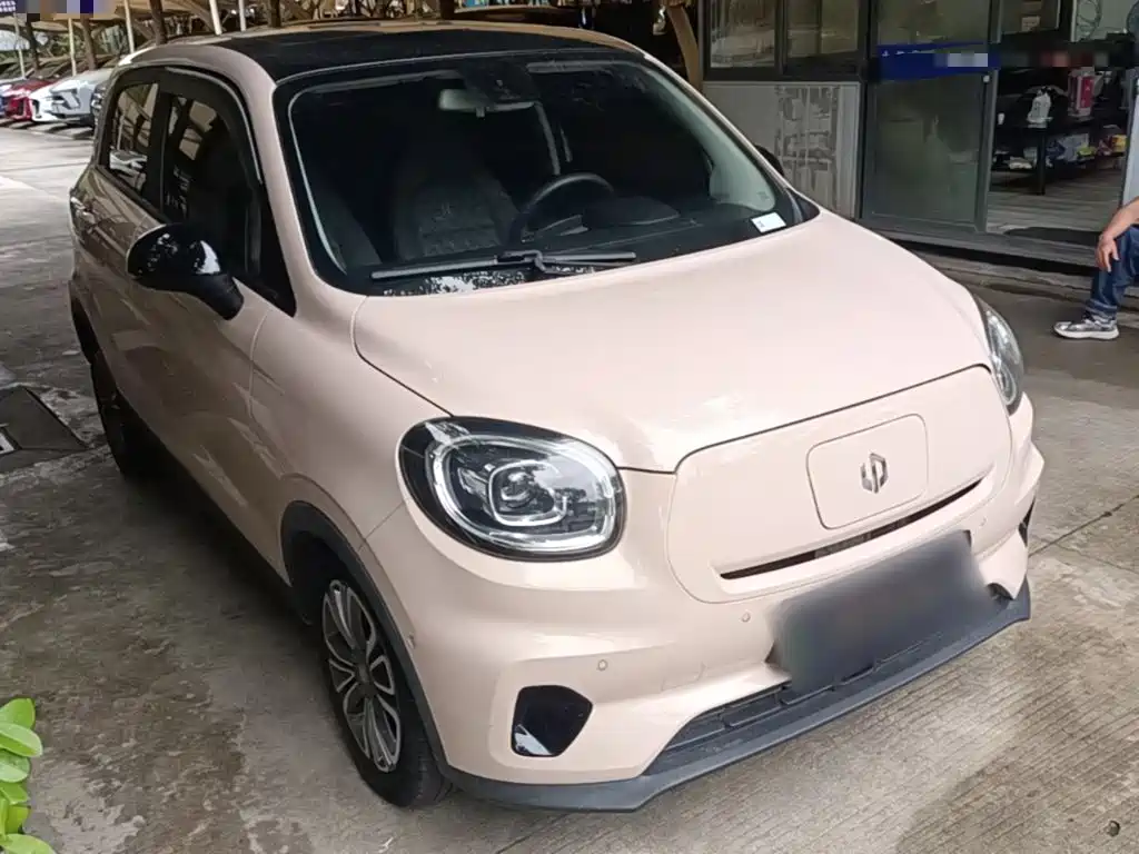 Leapmotor T03 2021 2021 400 Luxury Edition