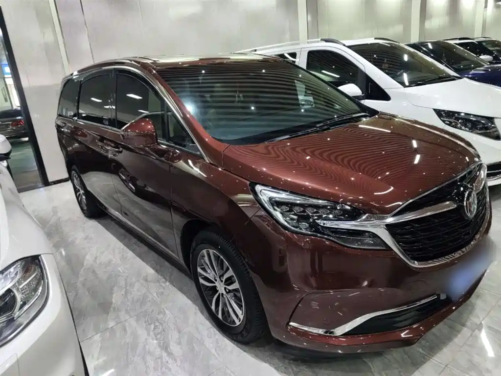 Buick GL8 2022 ES Landmark 653T Premium фото 4