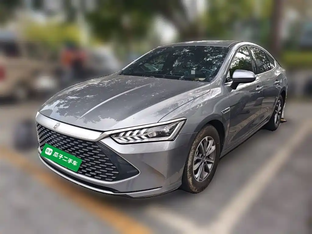 BYD Qin PLUS 2024 Glory Edition DM-i 55KM Leading