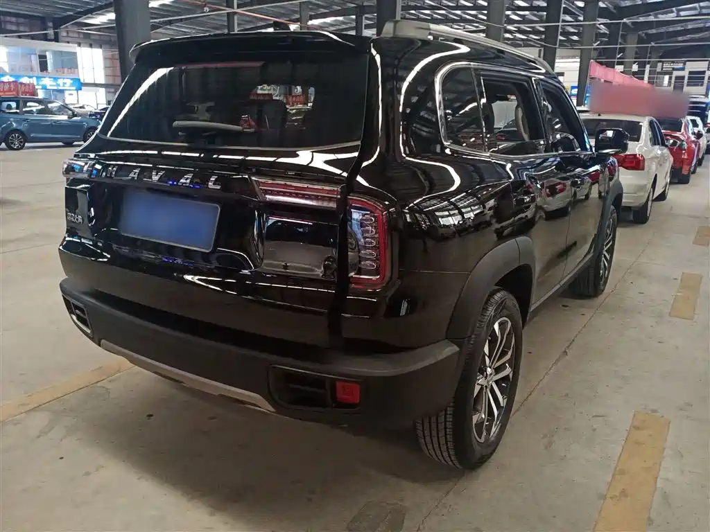 Haval Big Dog 2022 1.5T DCT FWD Border Collie Edition фото 7