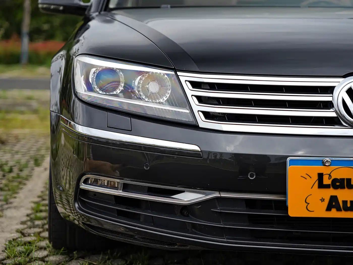 Volkswagen Phaeton 2012 3.0L Elite Custom фото 4