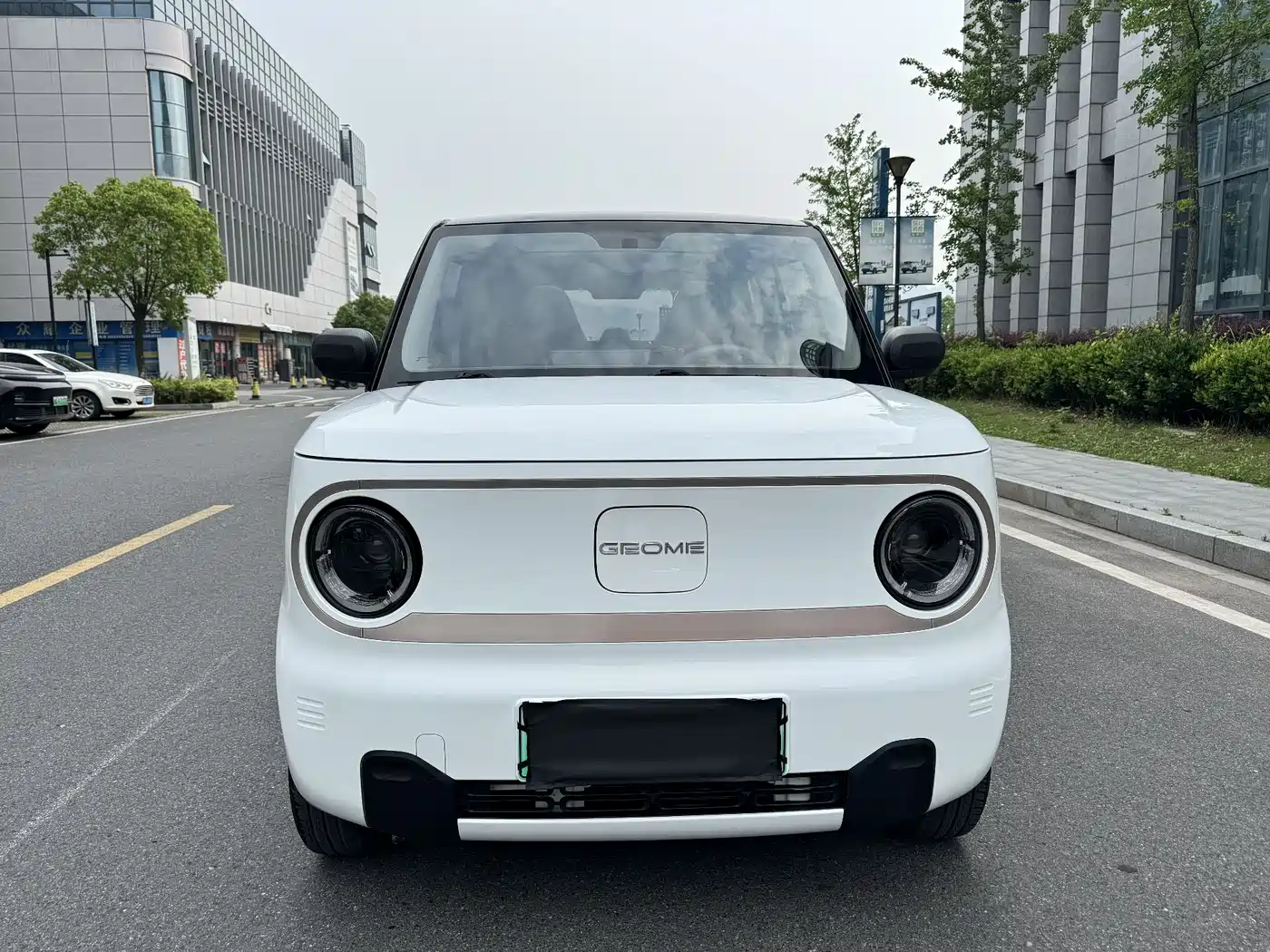 Geely Galaxy Panda 2023 Panda Mini 200km Lively Bear фото 2