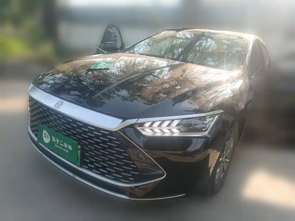 BYD Qin PLUS 2024 Glory Edition DM-i 55KM Leading
