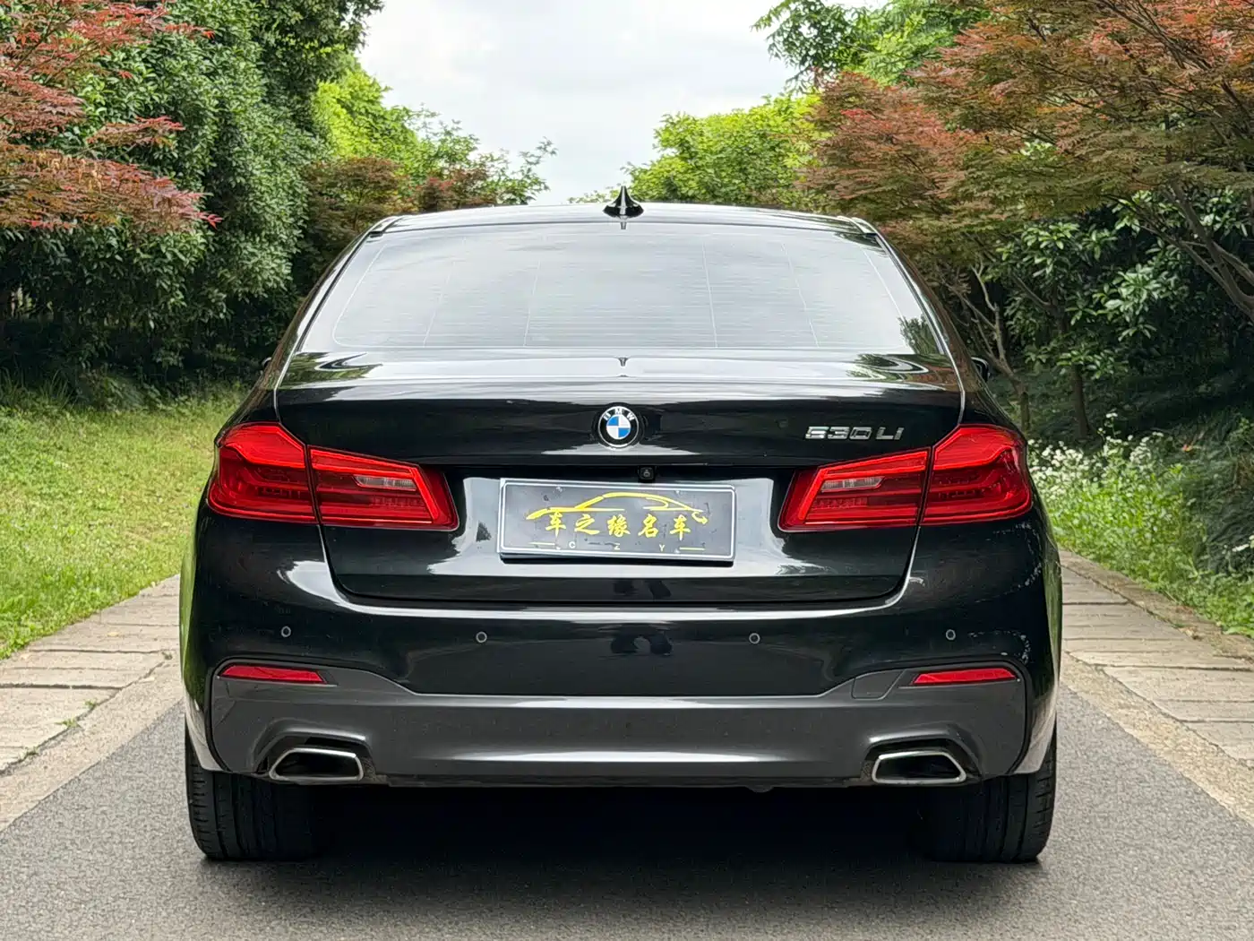 BMW 5 Series 2018 Facelift 530Li Leading M Sport Package фото 17