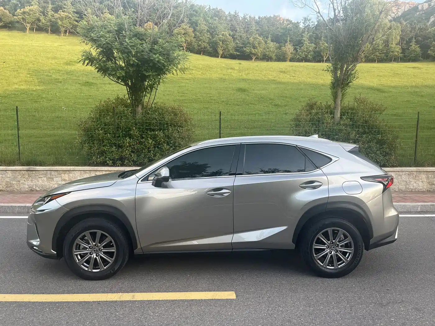 Lexus NX 2020 200 AWD F Sport China VI фото 12