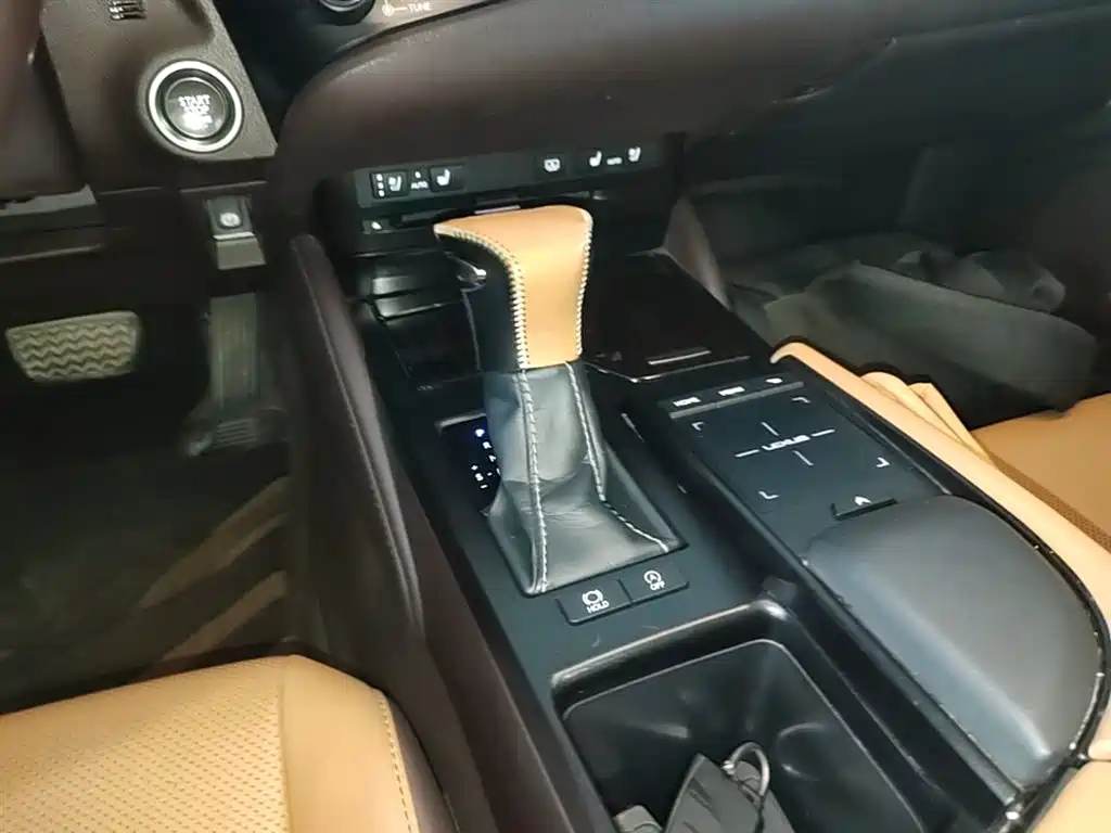 Lexus ES 2018 200 Luxury Edition China V фото 14