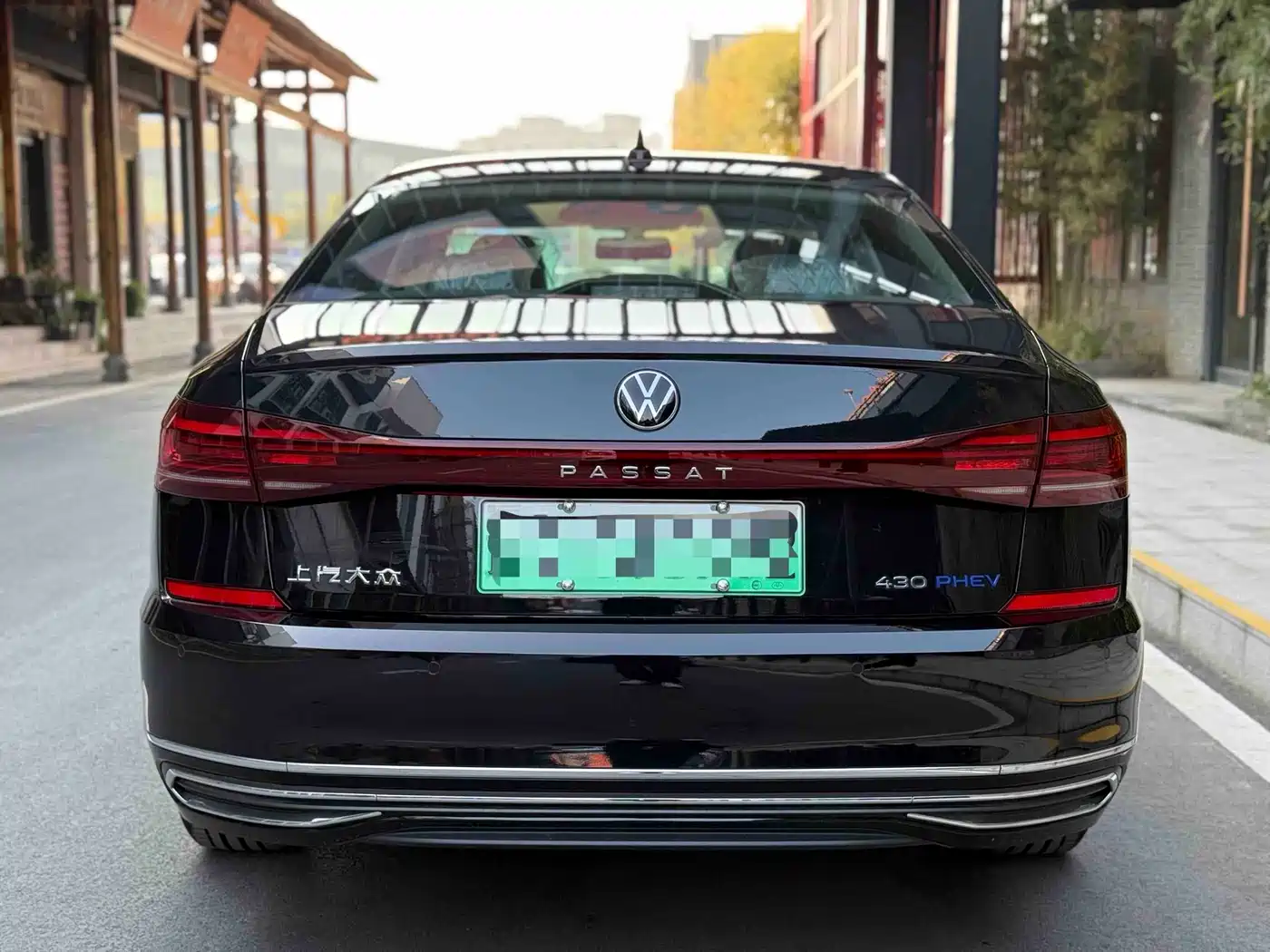 VOLKSWAGEN PASSAT NEW ENERGY