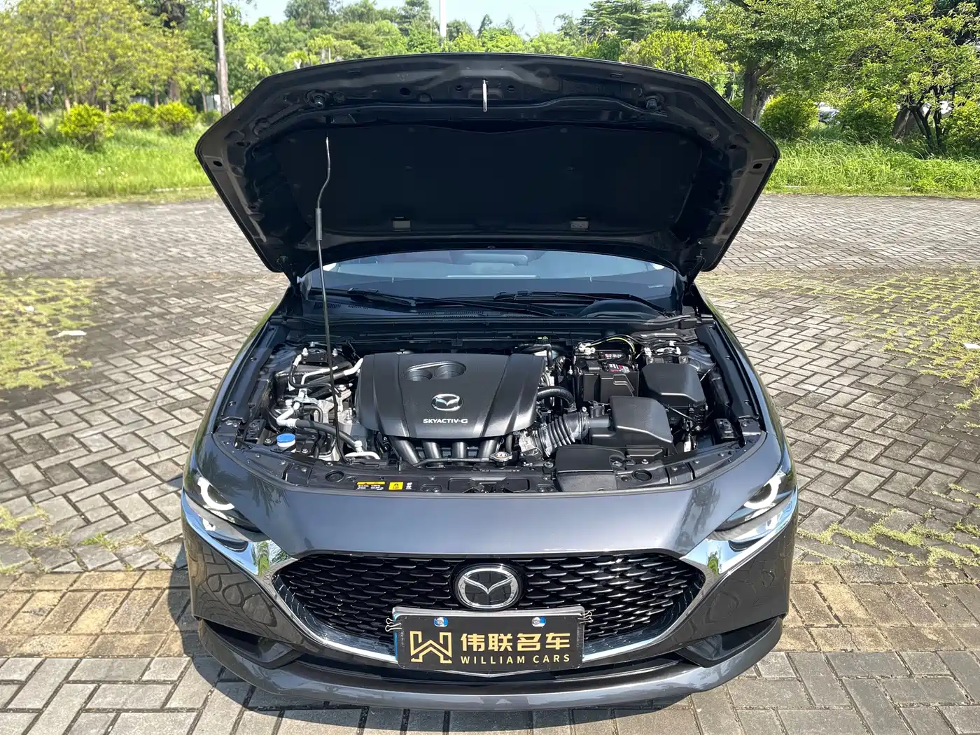 Mazda Mazda 3 2024 2023 2.0L Automatic Premium Edition