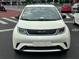 Фото 2 - BYD Dolphin