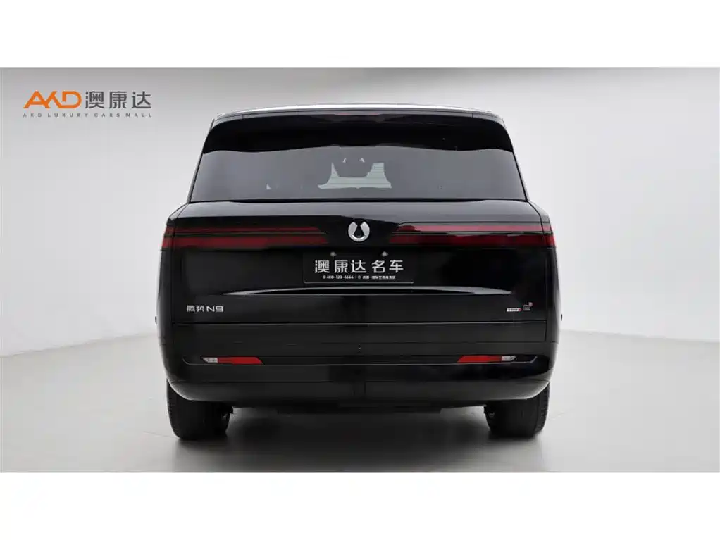 Denza N9 2025 Model Prestige Edition фото 4