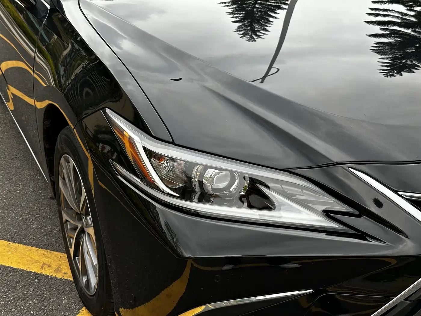 Lexus ES 2022 200 Excellence Edition фото 11