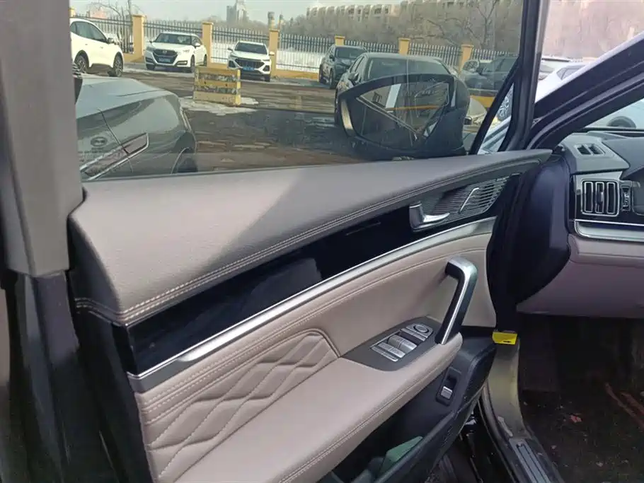 BYD Tang New Energy 2025 DM-i 115KM Flagship фото 7